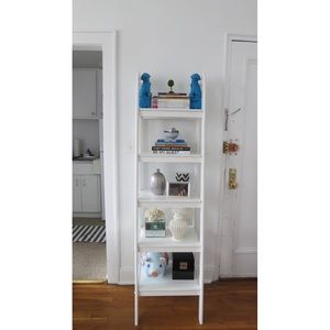 Pair of Turquoise blue foo dogs